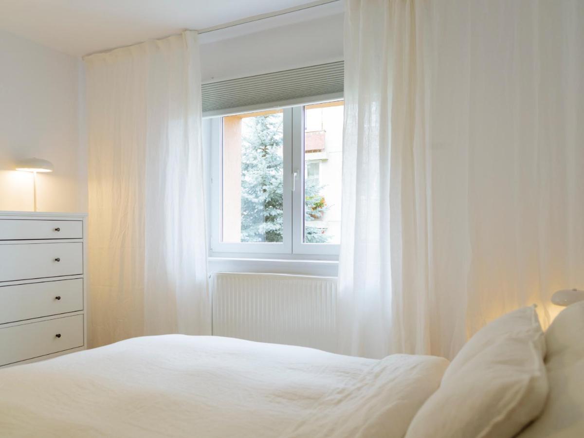 Cozy Central Apartment Near The Forest Μπρασόβ Εξωτερικό φωτογραφία