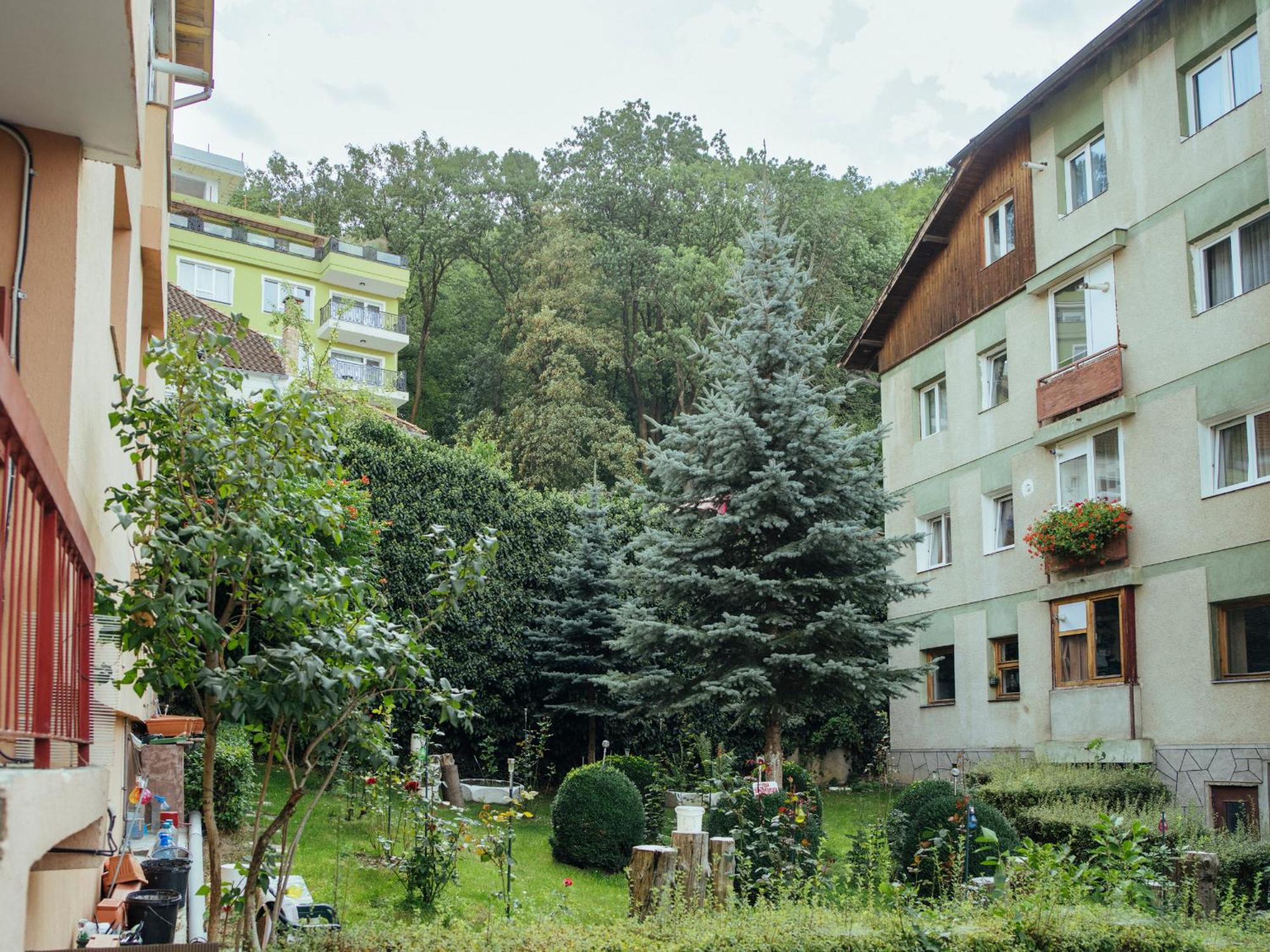 Cozy Central Apartment Near The Forest Μπρασόβ Εξωτερικό φωτογραφία